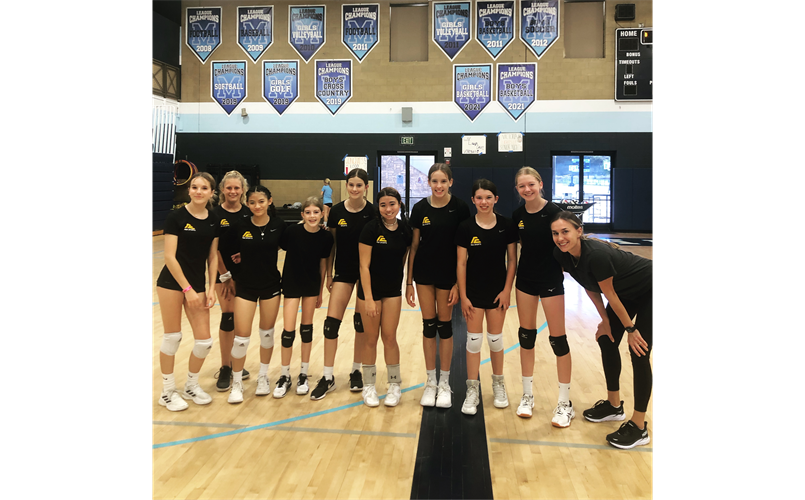 FCA Volleyball 